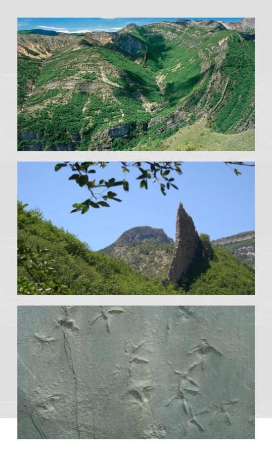 Les Glycines, Charmant Studio Au Calme Dans Batisse De Maitre Proche Du Centre Ville Parking Gratuit Digne-les-Bains Kültér fotó