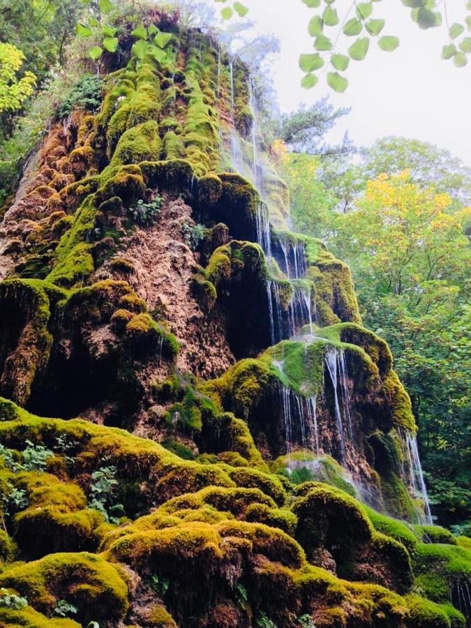 Les Glycines, Charmant Studio Au Calme Dans Batisse De Maitre Proche Du Centre Ville Parking Gratuit Digne-les-Bains Kültér fotó