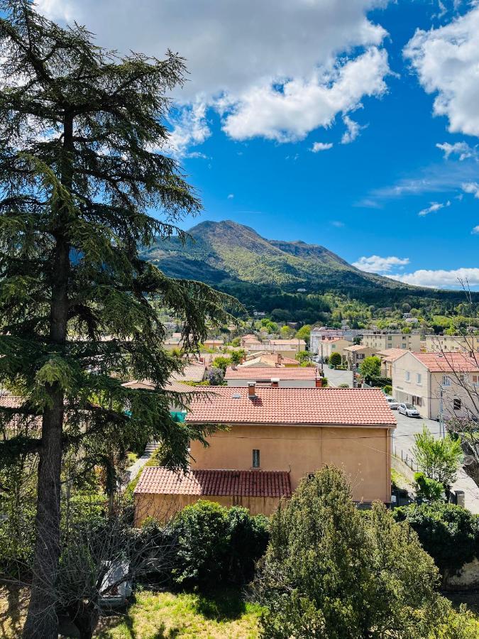 Les Glycines, Charmant Studio Au Calme Dans Batisse De Maitre Proche Du Centre Ville Parking Gratuit Digne-les-Bains Kültér fotó